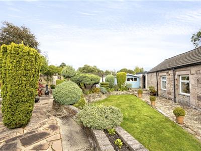 Picture 39